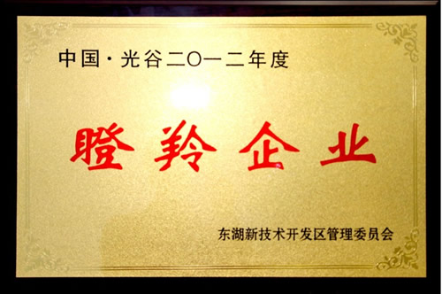 人388vip̫ųɹѡ2012ȵҵ